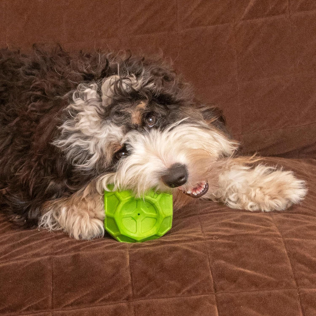 Exciting Geo Play Dual-Texture Dog Toy Cube – Durable, Floating, Squeaky & Treat-Dispensing Fun for Small to Medium Dogs