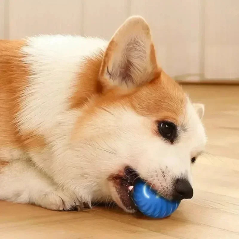 Exciting Smart Interactive Dog Ball - Bouncing Gravity Toy for Engaging Play and Training for Small to Large Dogs