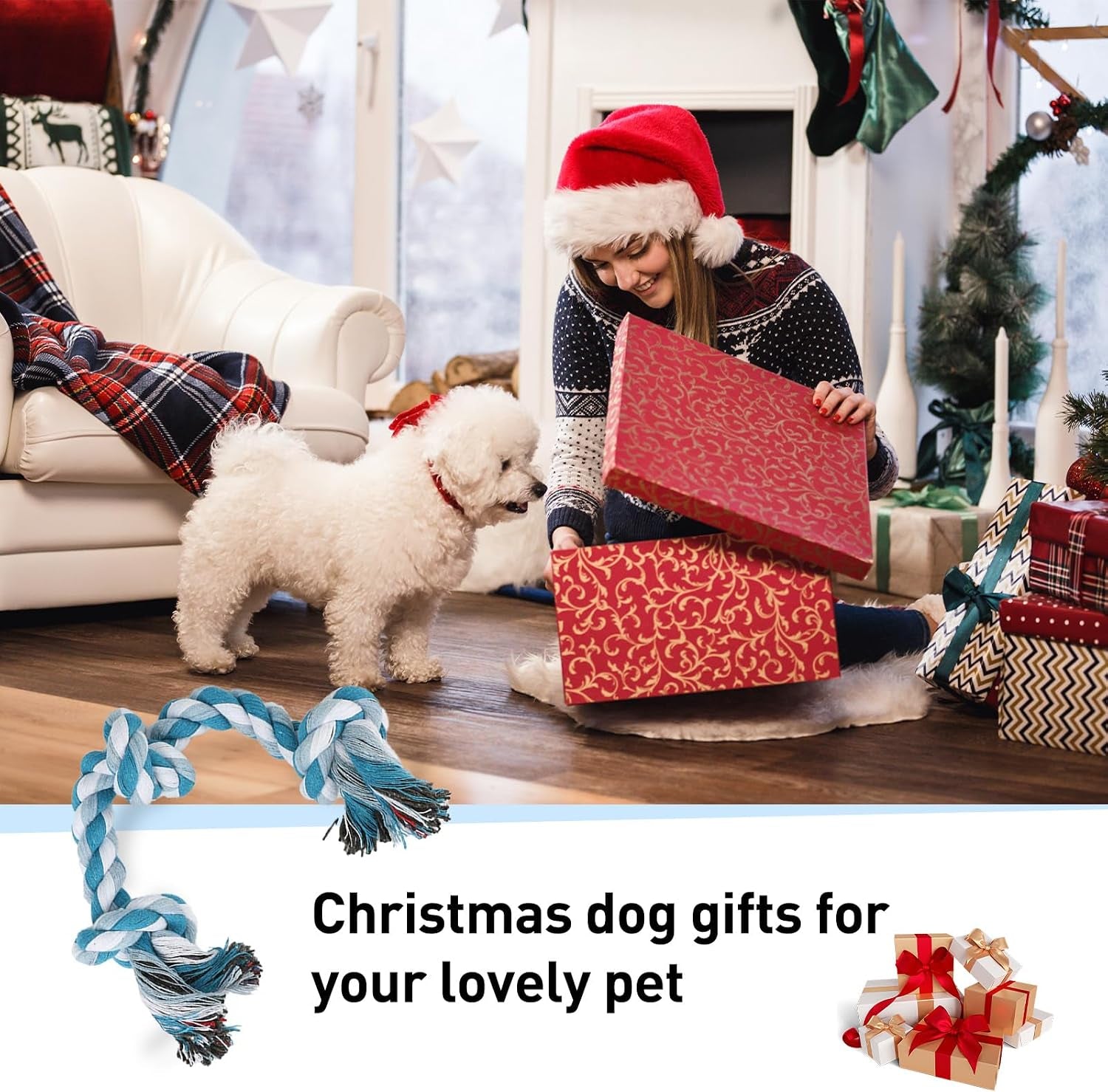 Exciting 2-Pack Dog Rope Toys for Small Breeds - 14-Inch Tug Toys in Vibrant Green & Blue for Energy Release, Boredom Relief, and Dental Health