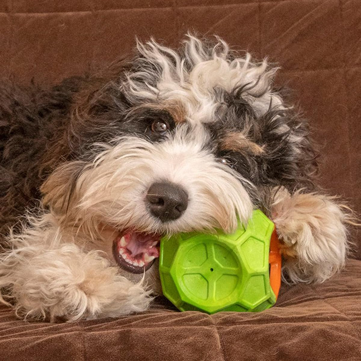 Exciting Geo Play Dual-Texture Dog Toy Cube – Durable, Floating, Squeaky & Treat-Dispensing Fun for Small to Medium Dogs