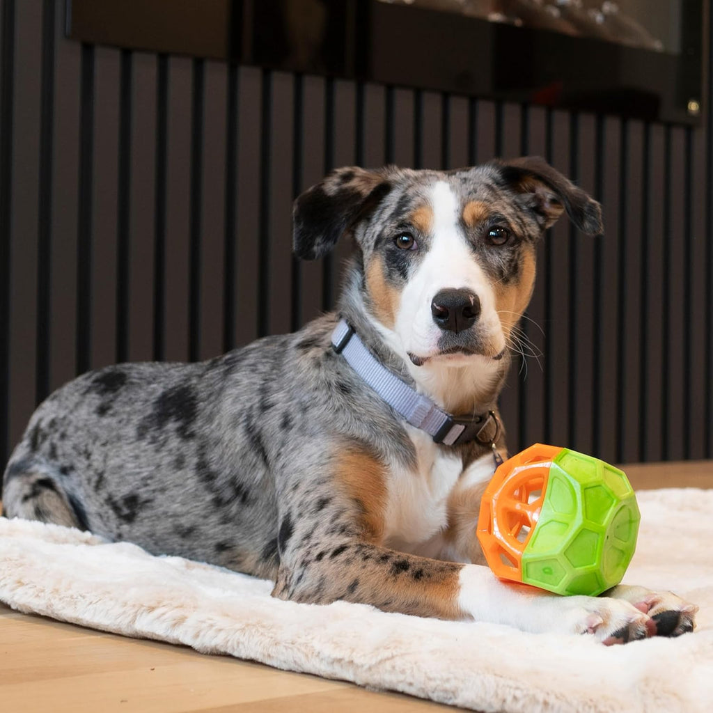 Exciting Geo Play Dual-Texture Dog Toy Cube – Durable, Floating, Squeaky & Treat-Dispensing Fun for Small to Medium Dogs
