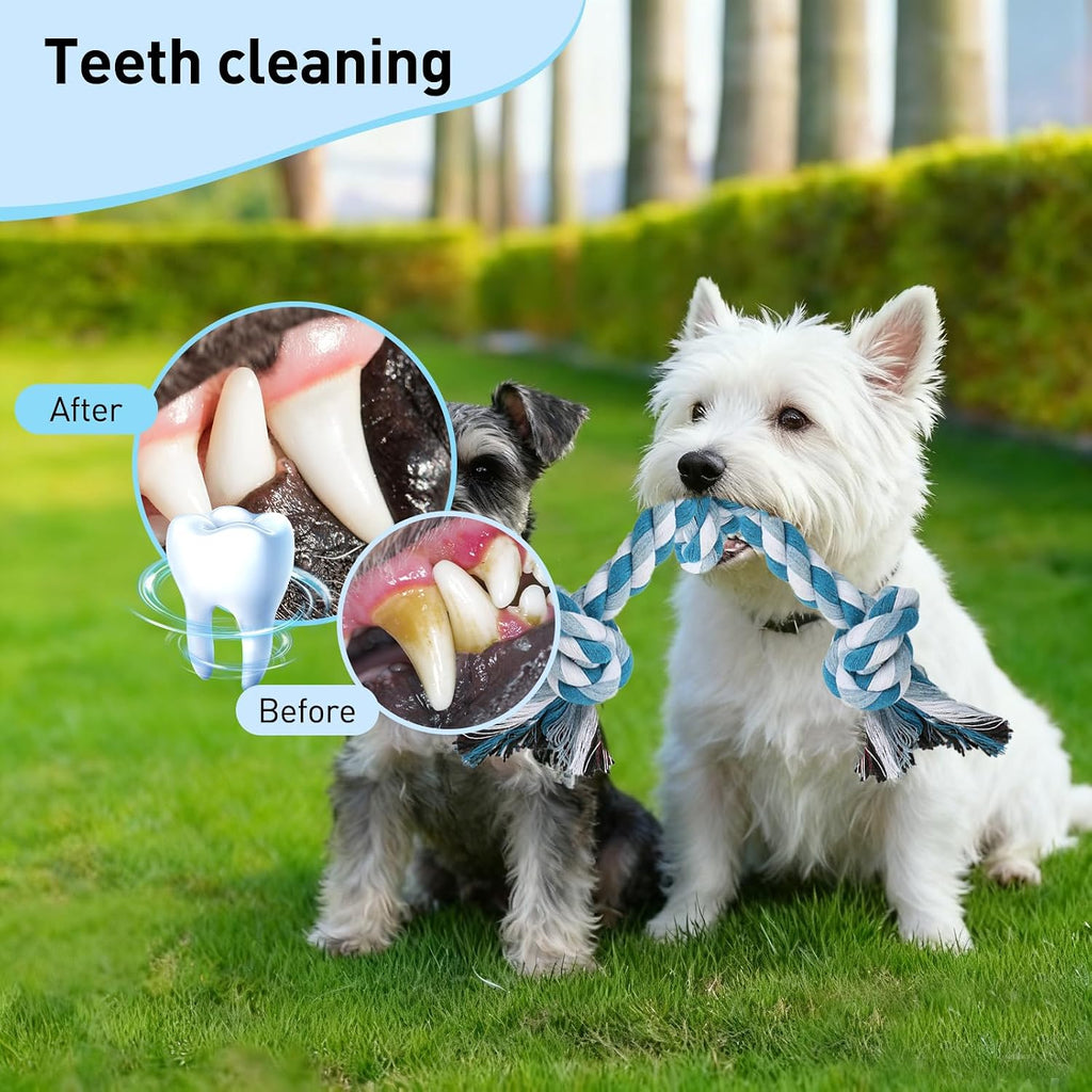 Exciting 2-Pack Dog Rope Toys for Small Breeds - 14-Inch Tug Toys in Vibrant Green & Blue for Energy Release, Boredom Relief, and Dental Health