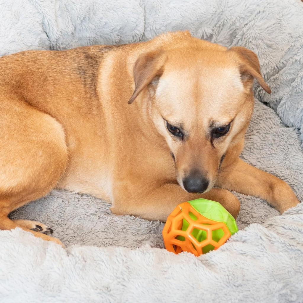 Exciting Geo Play Dual-Texture Dog Toy Cube – Durable, Floating, Squeaky & Treat-Dispensing Fun for Small to Medium Dogs