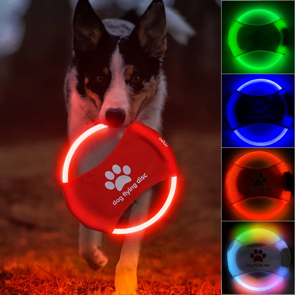 Light Up Playtime: Interactive LED Dog Flying Disc for Fun and Fitness
