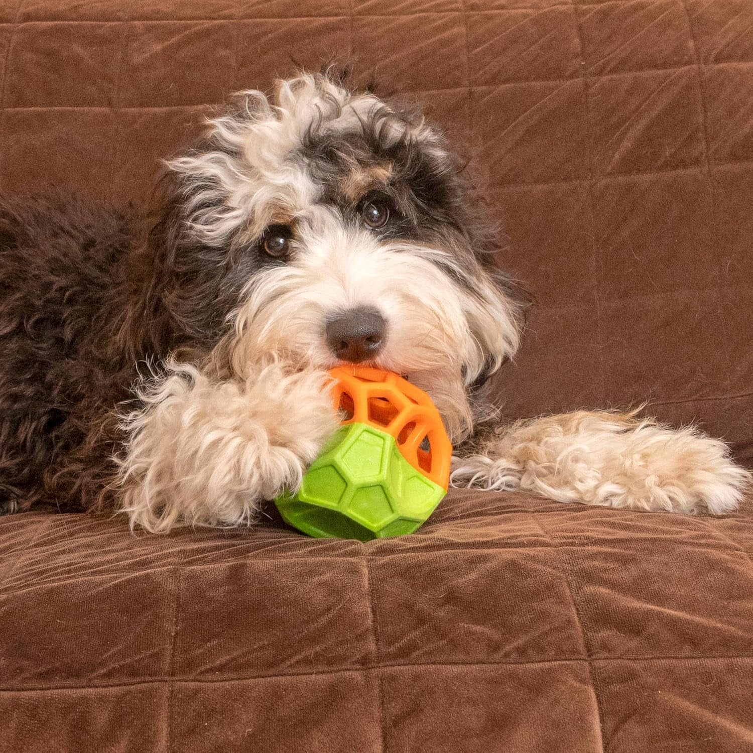 Exciting Geo Play Dual-Texture Dog Toy Cube – Durable, Floating, Squeaky & Treat-Dispensing Fun for Small to Medium Dogs