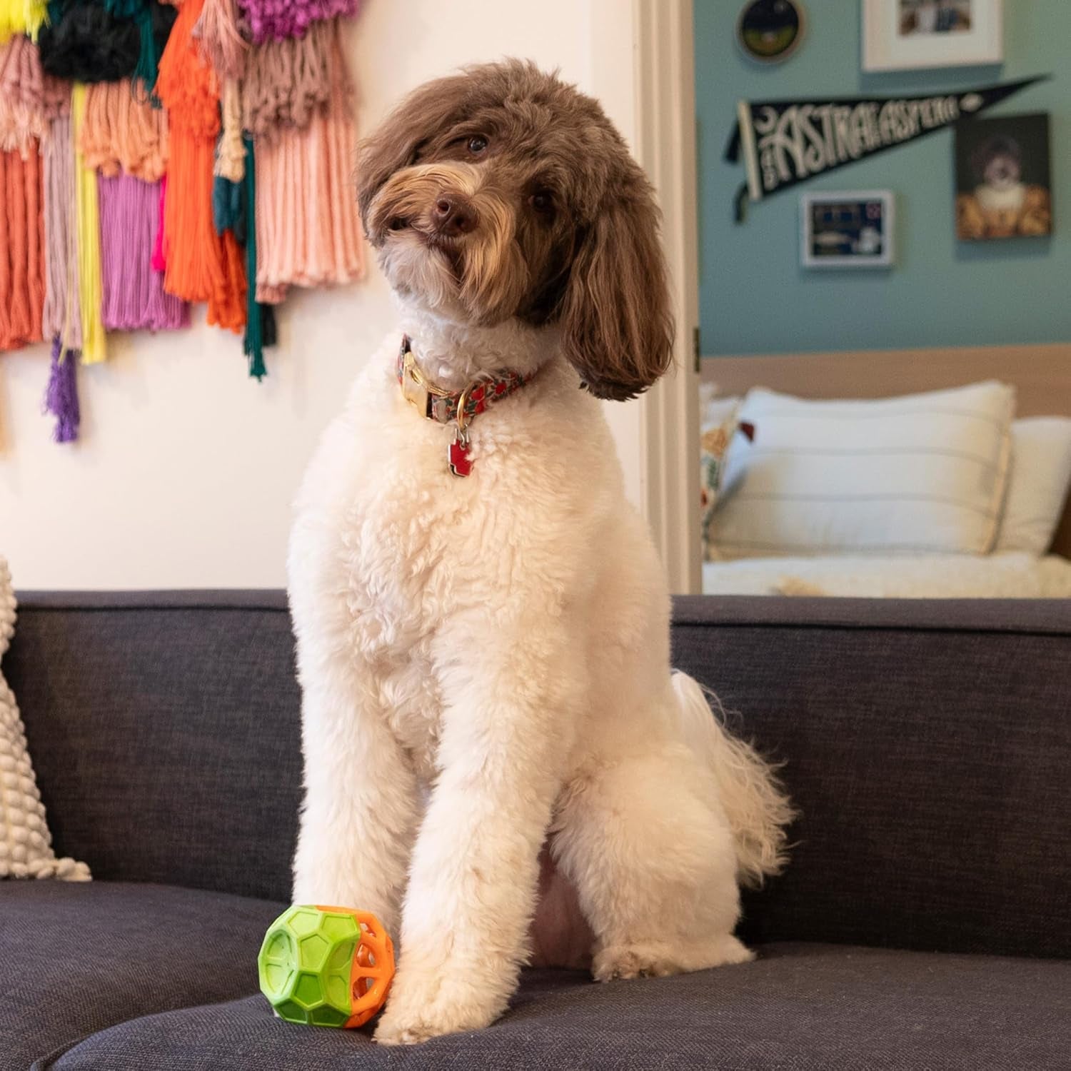 Exciting Geo Play Dual-Texture Dog Toy Cube – Durable, Floating, Squeaky & Treat-Dispensing Fun for Small to Medium Dogs