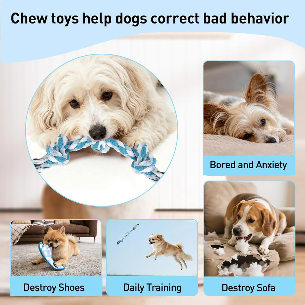 Exciting 2-Pack Dog Rope Toys for Small Breeds - 14-Inch Tug Toys in Vibrant Green & Blue for Energy Release, Boredom Relief, and Dental Health