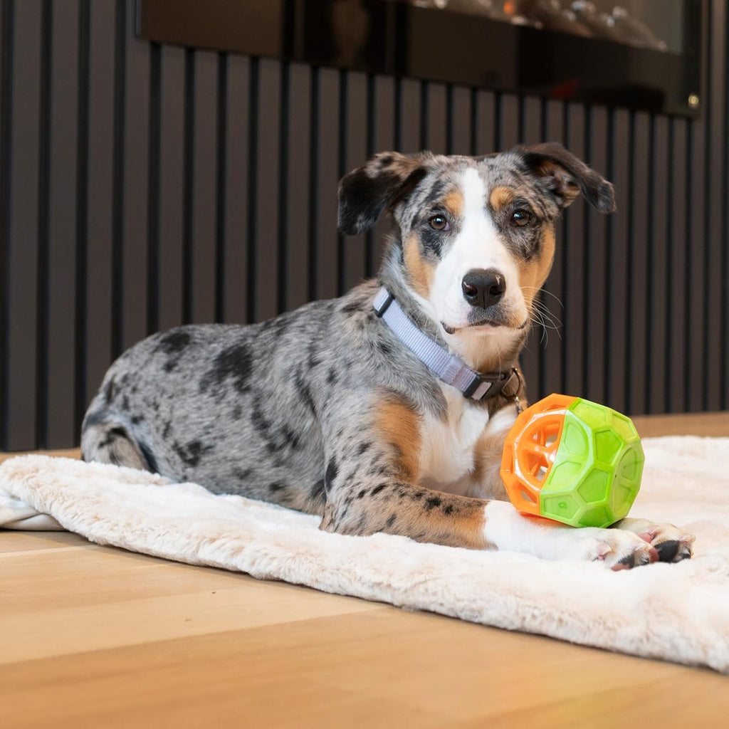 Exciting Geo Play Dual-Texture Dog Toy Cube – Durable, Floating, Squeaky & Treat-Dispensing Fun for Small to Medium Dogs