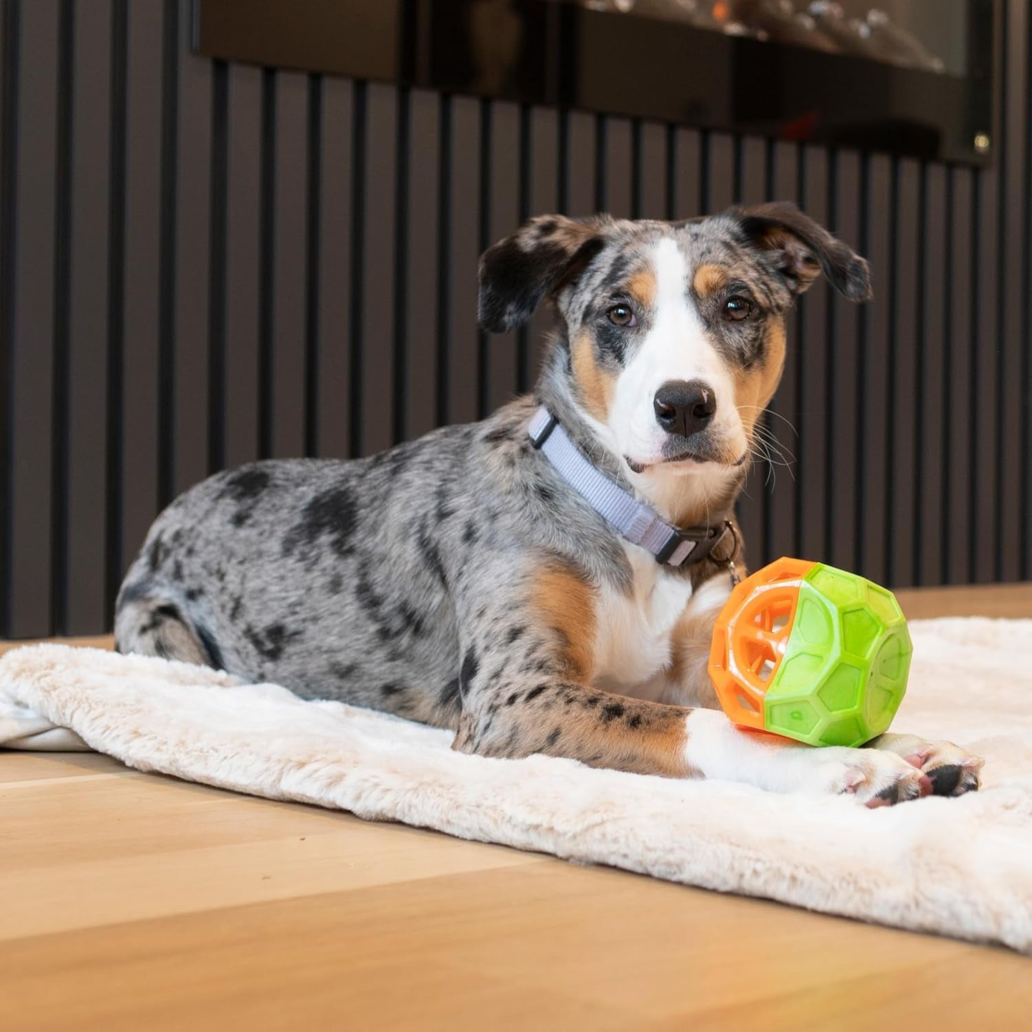 Exciting Geo Play Dual-Texture Dog Toy Cube – Durable, Floating, Squeaky & Treat-Dispensing Fun for Small to Medium Dogs
