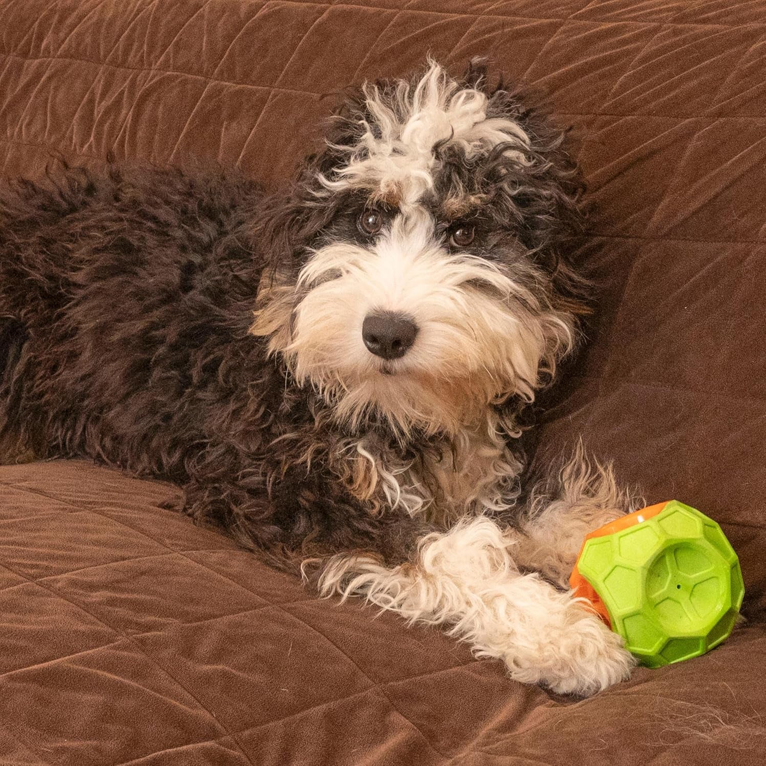 Exciting Geo Play Dual-Texture Dog Toy Cube – Durable, Floating, Squeaky & Treat-Dispensing Fun for Small to Medium Dogs